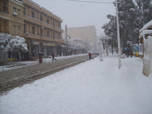��� ������ ����� ������� Photo 064.jpg
